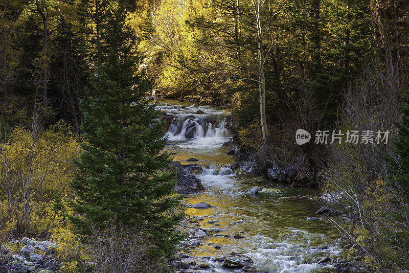 白杨树区4 × 4路穿过白杨树到老磨坊